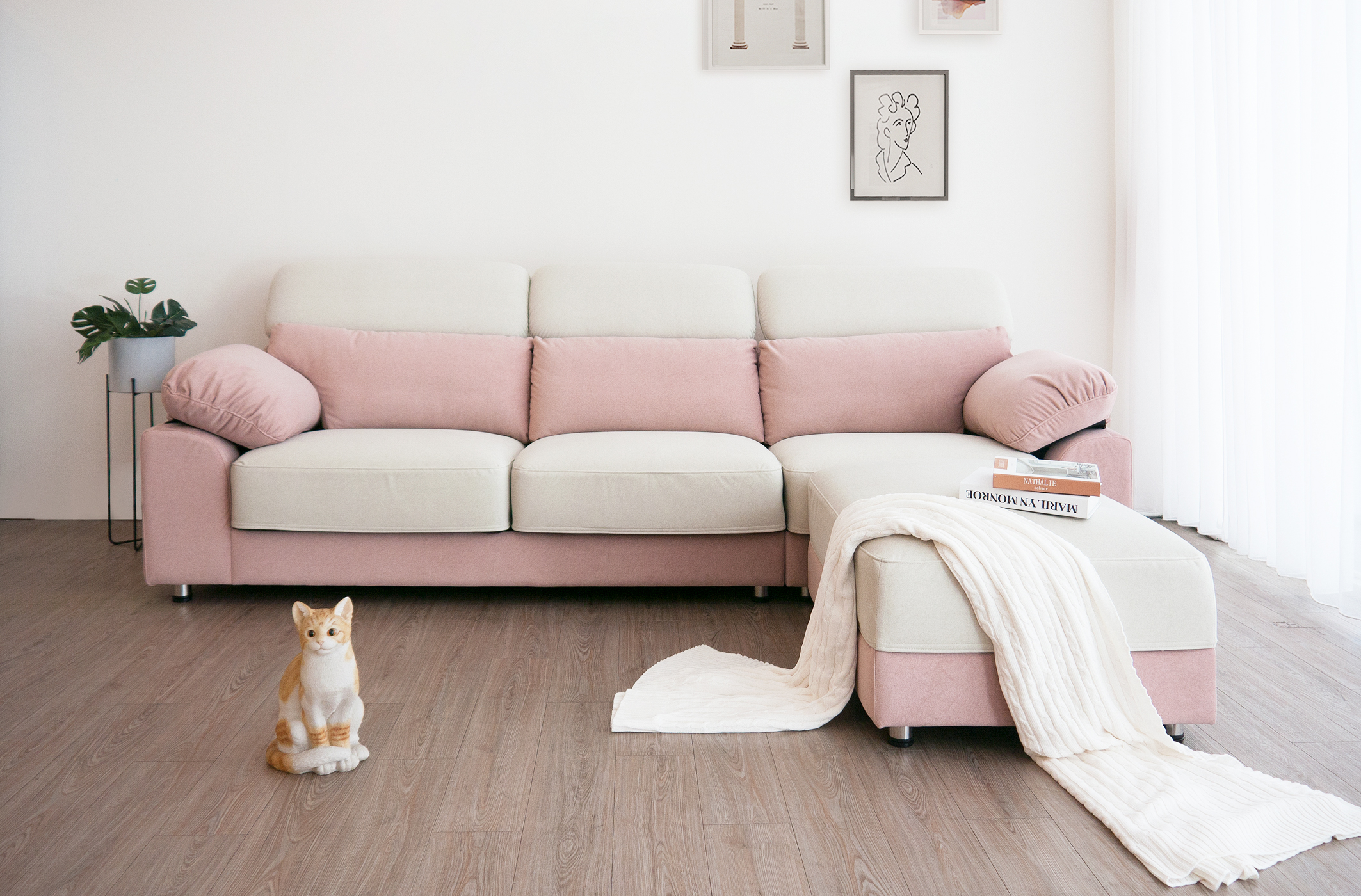 貓抓布沙發壽命